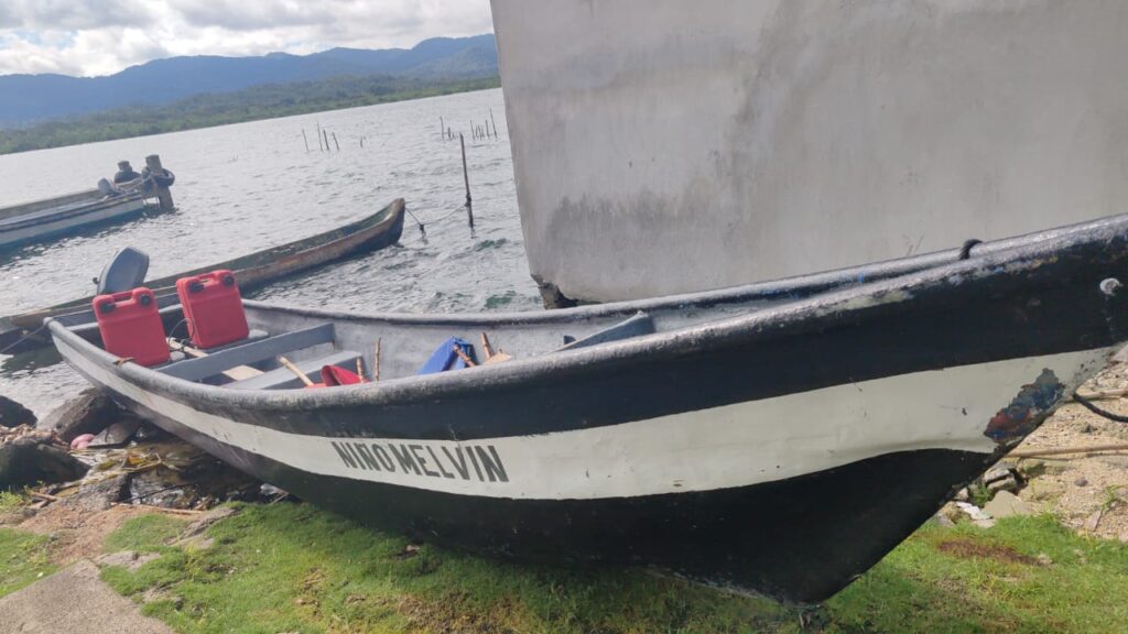 WhatsApp Image 2025-11-17 at 4.38.33 PM