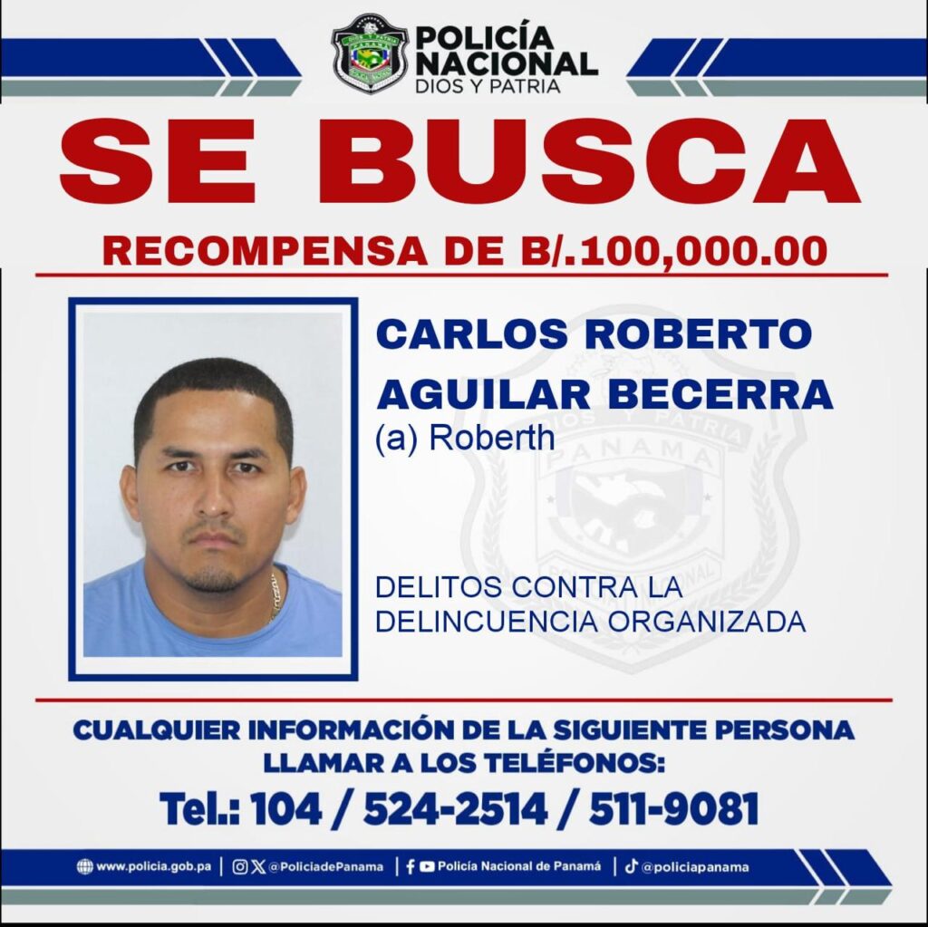 WhatsApp Image 2025-11-24 at 11.17.30 PM