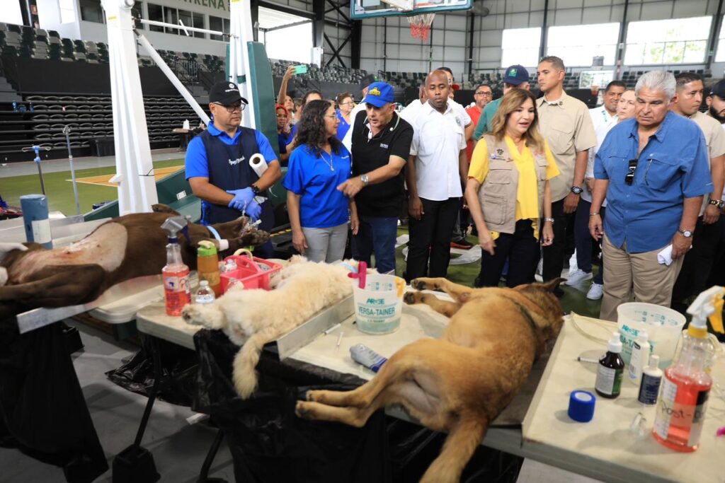 WhatsApp Image 2025-12-13 at 3.35.58 PM