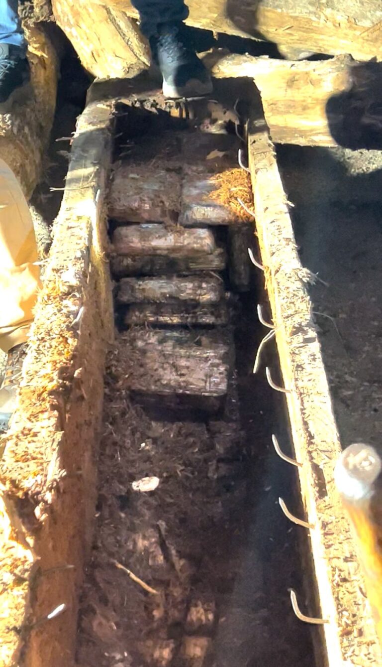 WhatsApp Image 2025-12-23 at 6.48.38 AM (1)