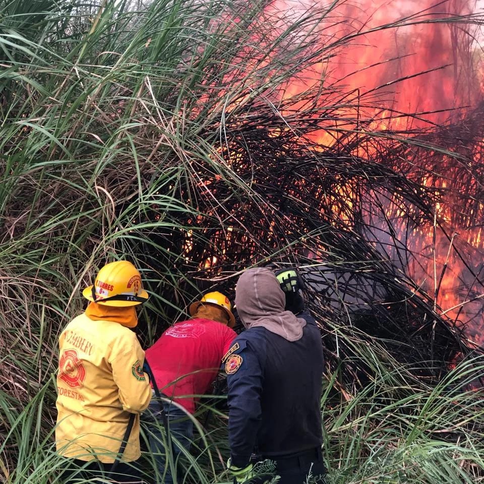 WhatsApp Image 2026-01-26 at 3.31.43 PM