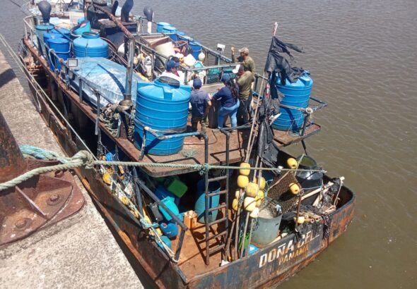 WhatsApp Image 2026-02-05 at 4.55.08 PM