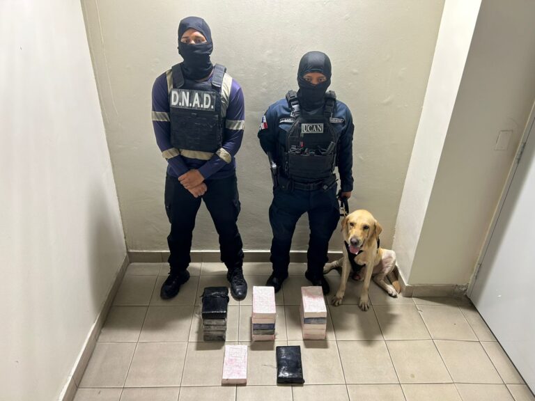 WhatsApp Image 2026-04-03 at 8.43.37 AM