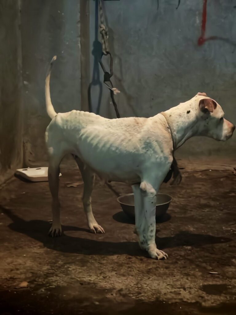 WhatsApp Image 2026-04-08 at 3.16.34 PM