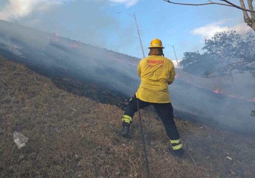 WhatsApp Image 2026-04-11 at 1.54.36 PM