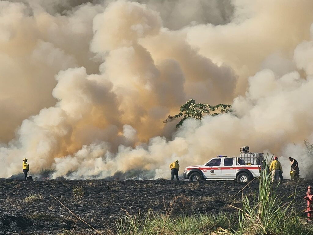 WhatsApp Image 2026-04-22 at 2.32.49 PM