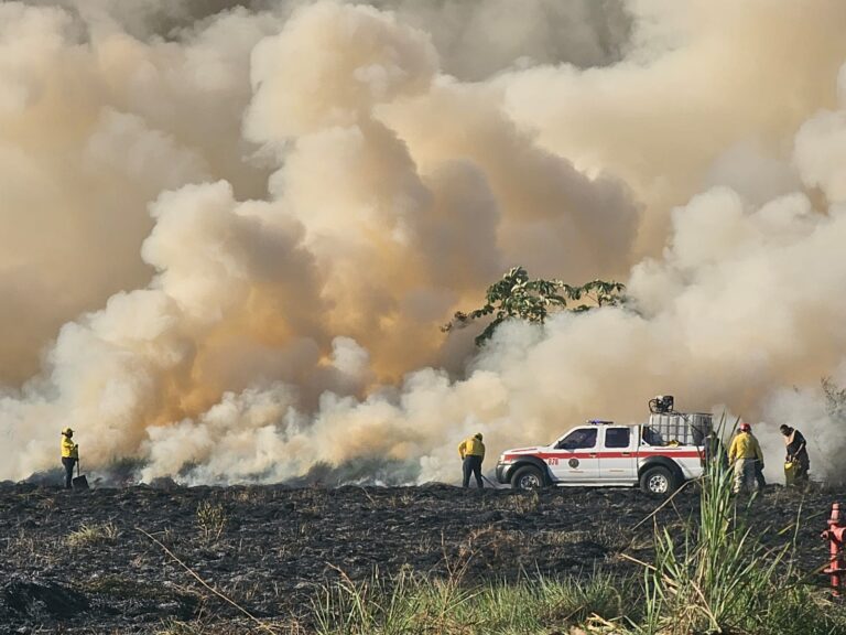 WhatsApp Image 2026-04-22 at 2.32.49 PM